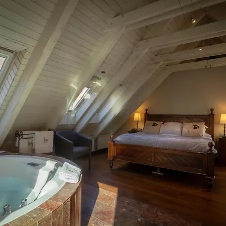 & Casa Irene 4* Arties
